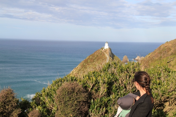 Nugget Point (7)